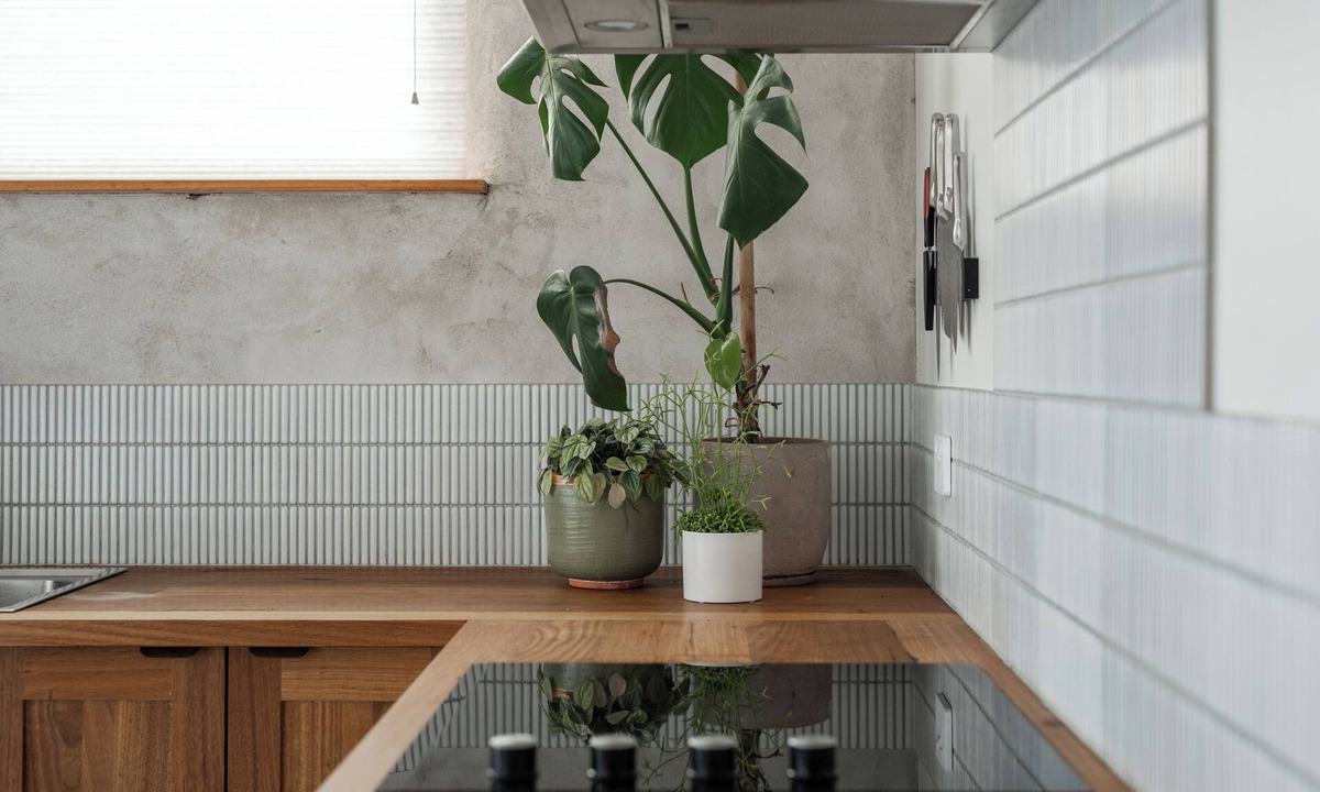 Alonnah House | A unique, luxurious, eco-friendly hempcrete home on Bruny Island. Pet friendly!