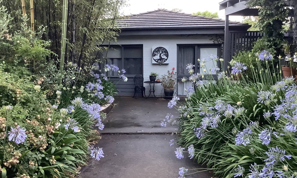 Hawker Cottage | Agapantha Cottage - Country in the City, original artwork, wkly/mthly discounts