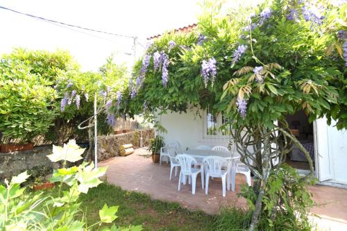 Saians House | Casa Sayanes