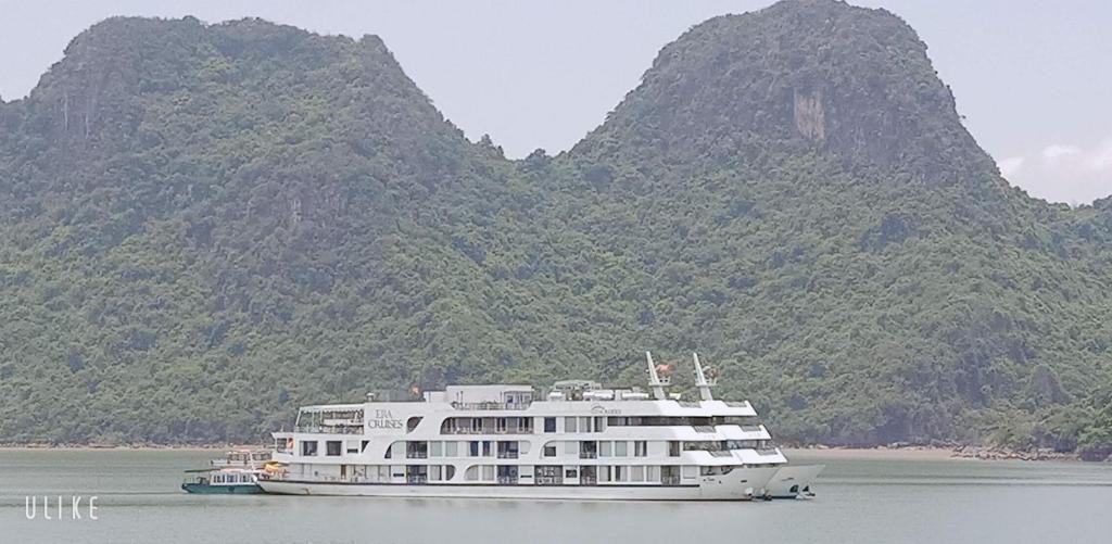 Cat Hai Apartment | catba sky way boat