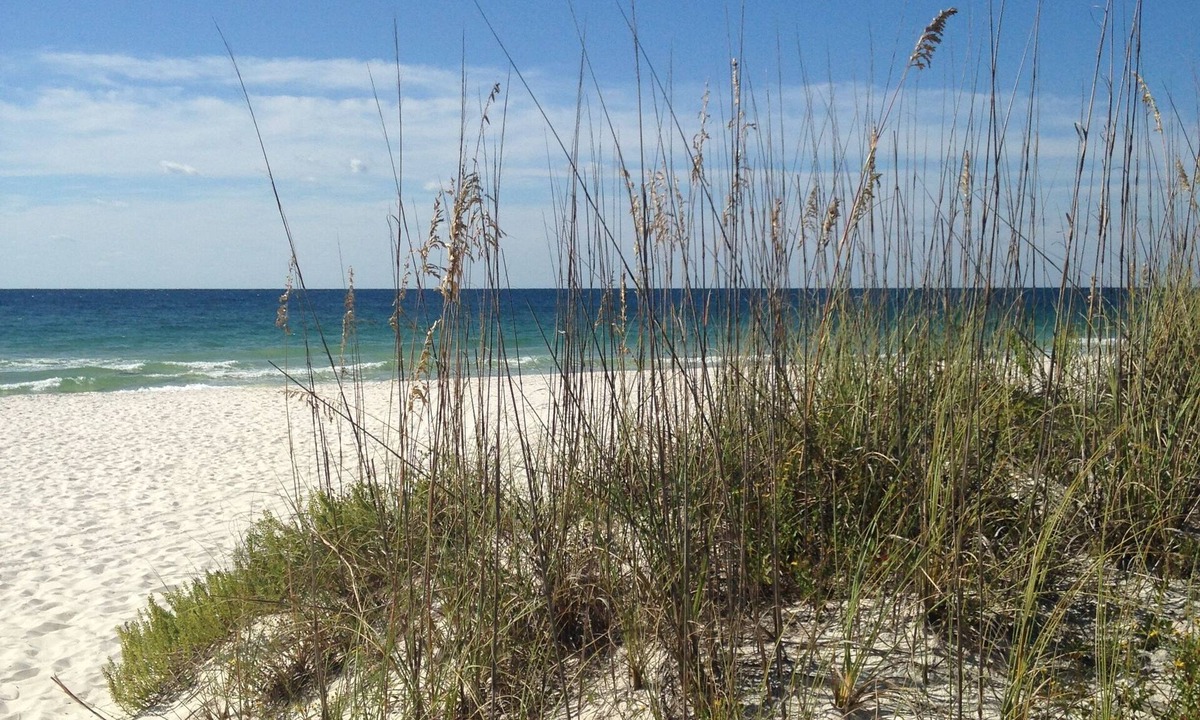 Phoenix Orange Beach | Orange Beach East
