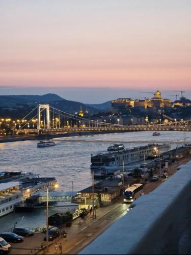 Inner City Budapest Apartment | Danube Wonder View 2