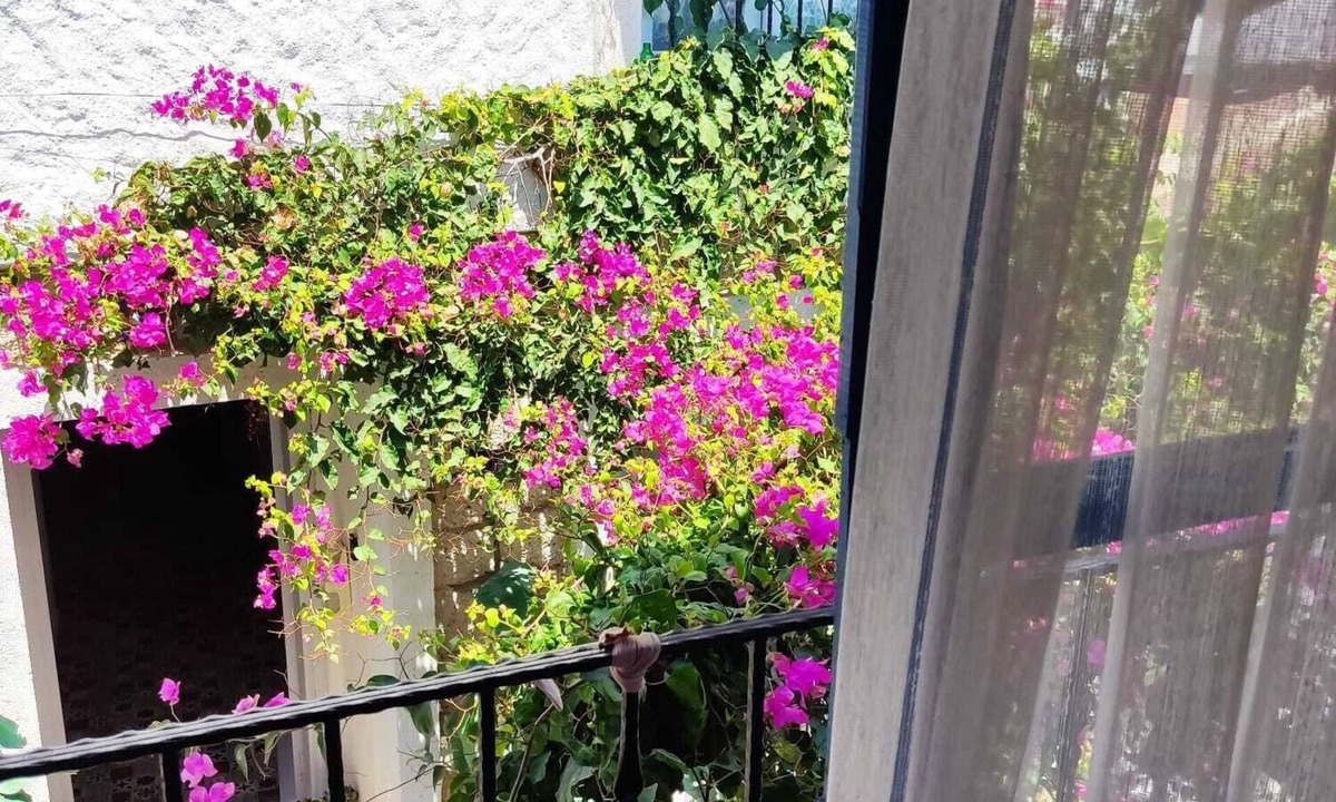 Alacati Hotel | Gül Hanım Konağı