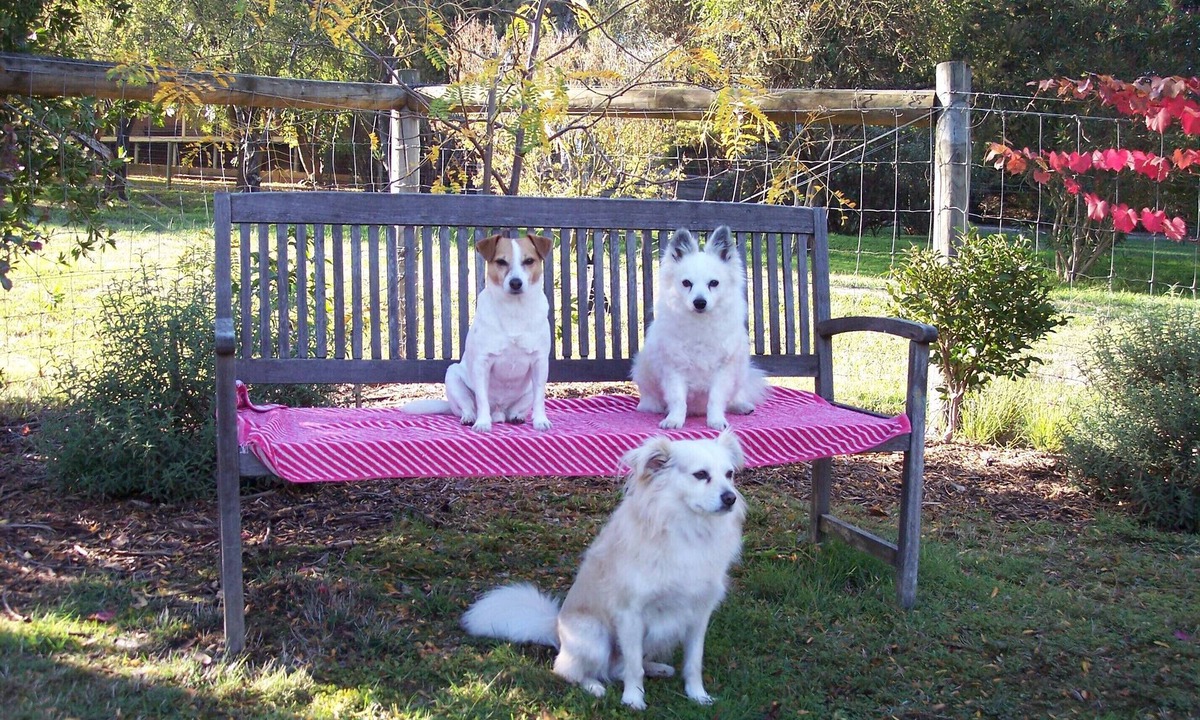 Healesville House | Healesville Holiday Cottage.
