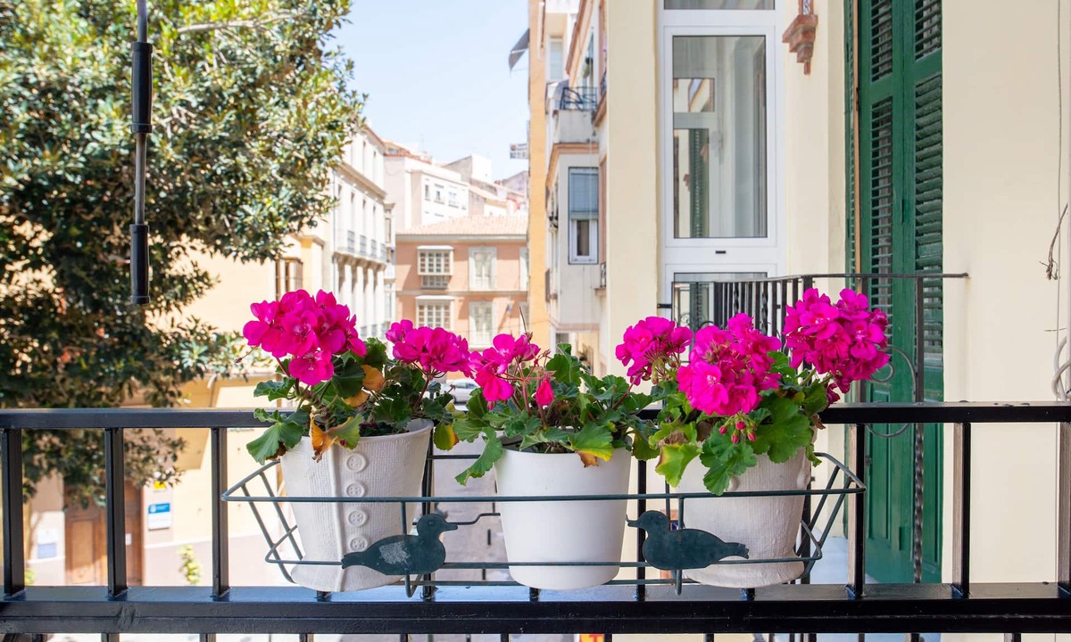 Malaga Historic Centre Apartment | Historic center with terrace, close to La Malagueta beach