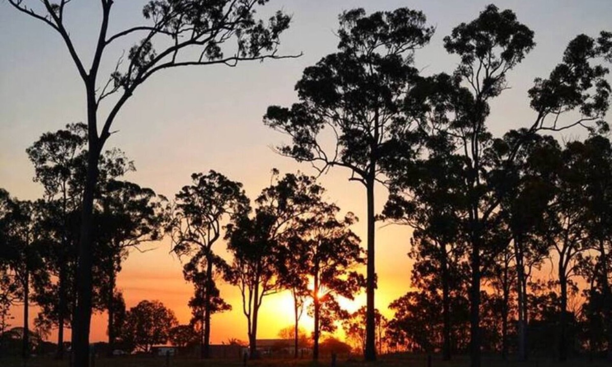 Meadowvale House | Home near Bundaberg! 4 bedrooms 9 beds 11 acres