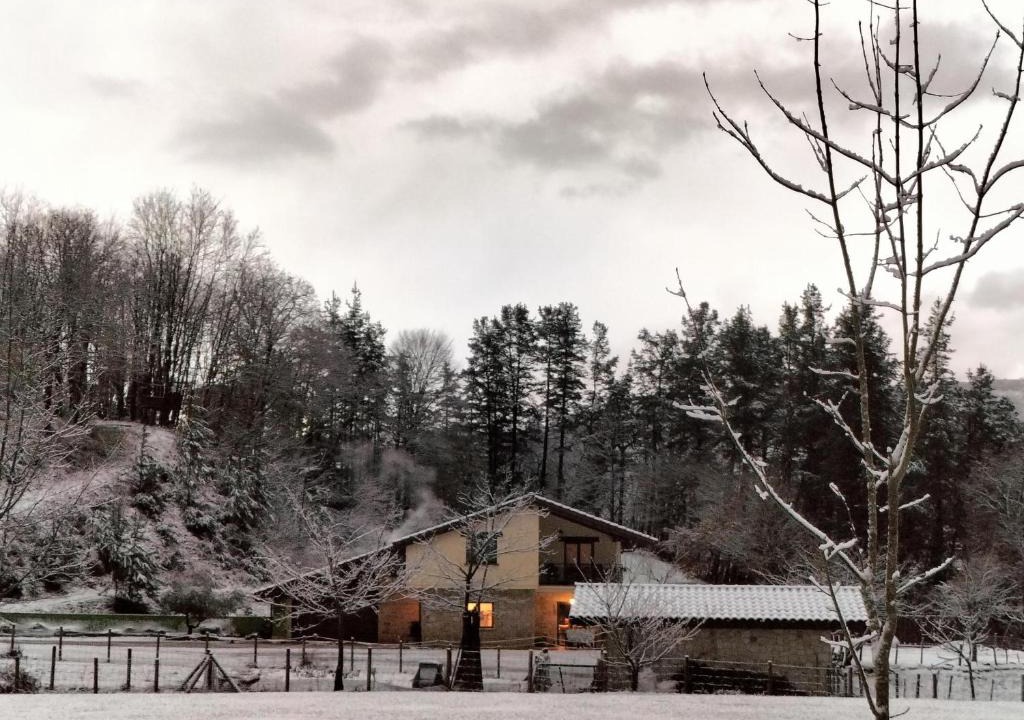 Dima House | Leku eder
