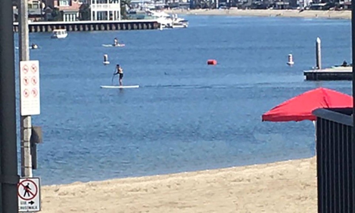 Belmont Shore Apartment | location, location, location