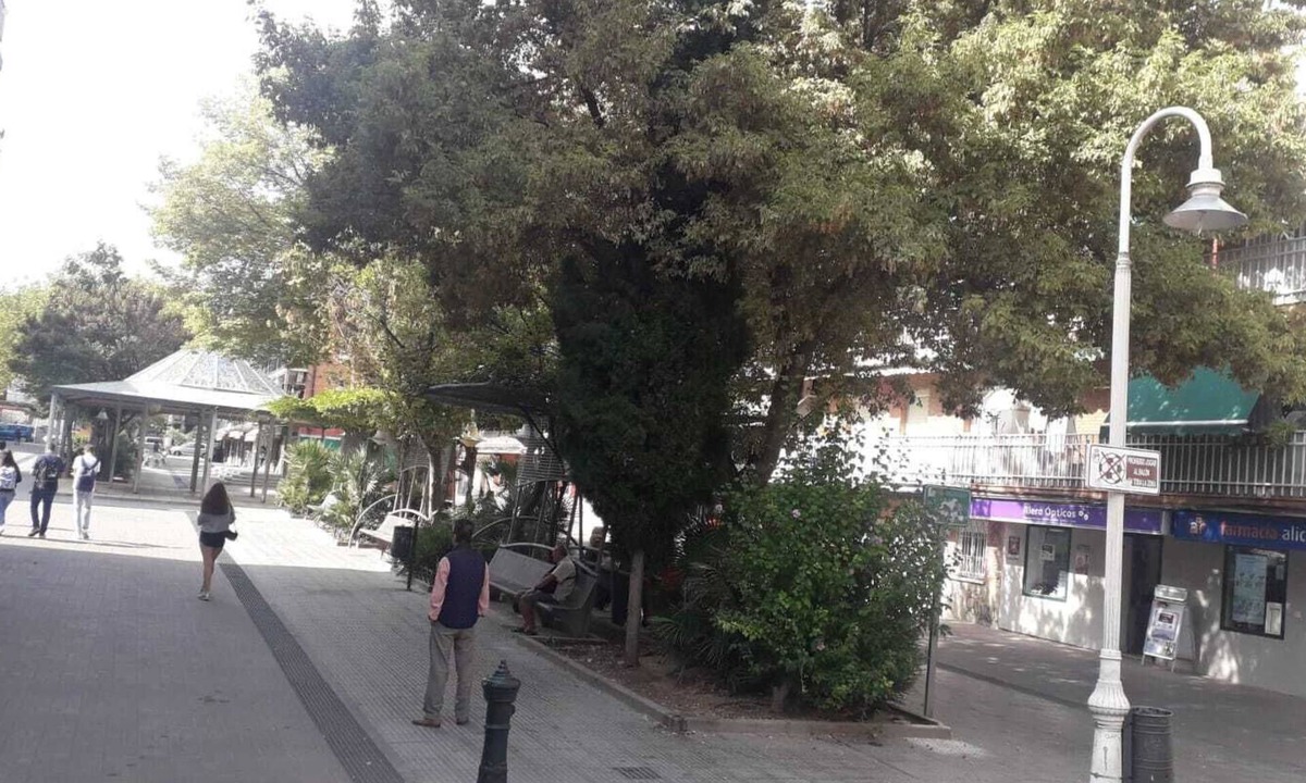 Coslada Bed & Breakfast | Moon hb single cosladaairport Wanda ifema bathroom to door