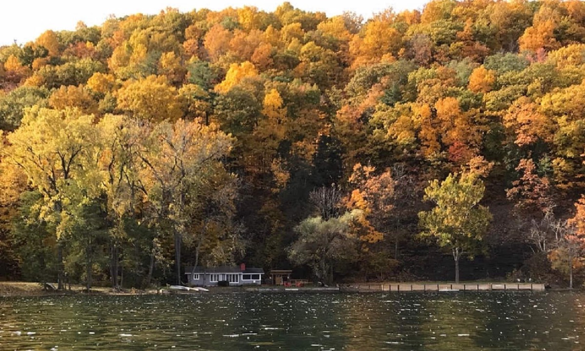 Naples Cottage | Private! Unique Lake Front Cottage. Heron Cove Sanctuary, Beauty & Peace!