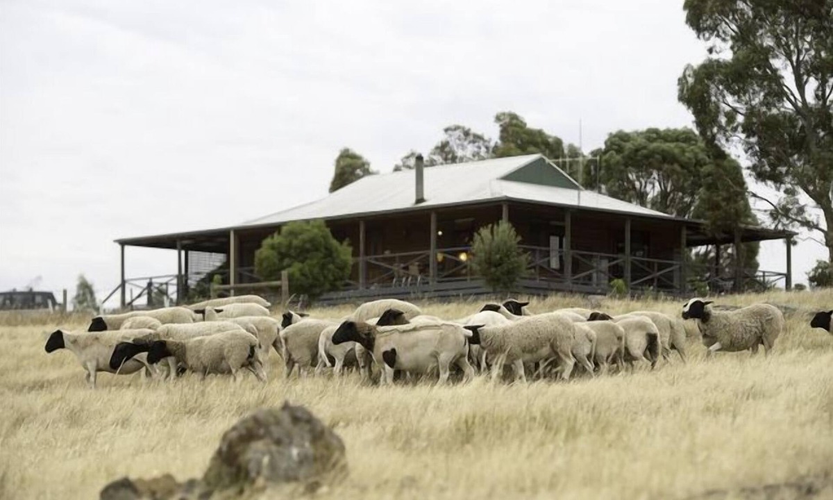 Eppalock Other | Quaint Cottage on Country Victorian Farm, Overlooking Beautiful Vineyard
