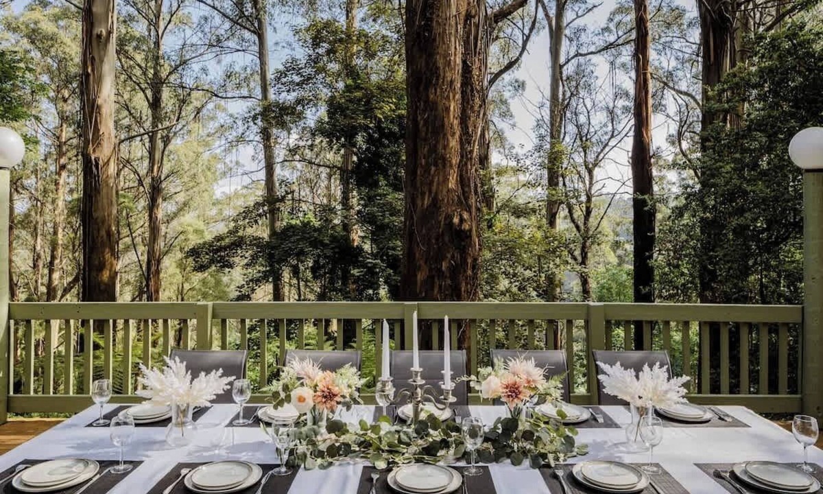 Sassafras House | Seednest Treehouse | Forest & Mountain View