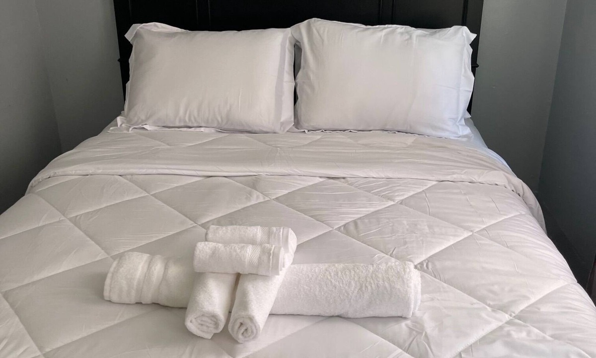 North Buffalo House | The L's Luxury 1- Newly renovated Downstairs Apartment