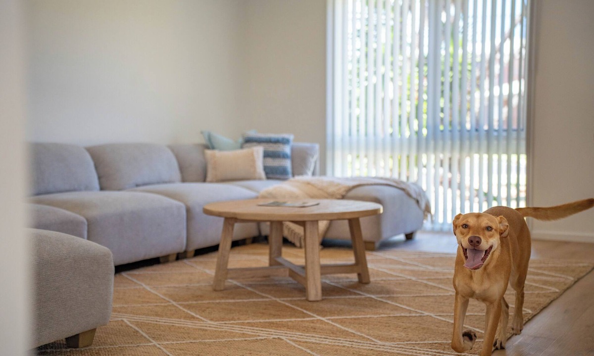 Arrawarra Headland House | The Palms Beach House- Sauna, Pet-friendly, Beach!