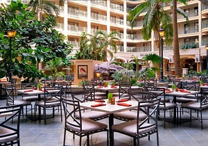 4-Star Hotel ∙ Sheraton Suites Fort Lauderdale at Cypress Creek