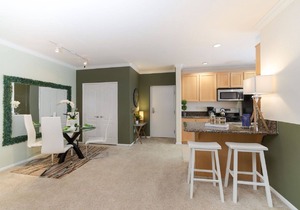 #540263 Dual-Master DTLA Suite