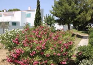 Apartment with private roof terrace and sea views in Prainha /Alvor