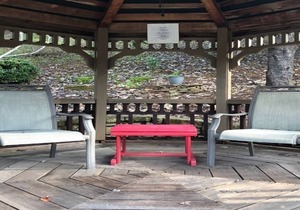 Apple Valley Farm 103