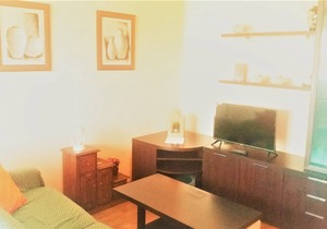 Beautiful apartment in Salinas