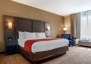 Comfort Inn & Suites Millbrook - Pratville