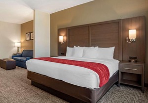 Comfort Inn & Suites Millbrook - Pratville