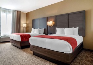 Comfort Inn & Suites Millbrook - Pratville