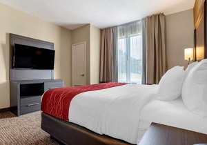 Comfort Inn & Suites Millbrook - Pratville