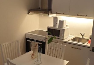 Cozy 1 bedroom apartment in Oslo centrum