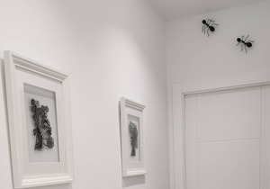 MAGMA ROOMS, HOUSE EL CHARCO