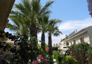 Playa flamenca