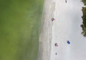 Resort Sixty-Six, Holmes Beach, Florida, Studio