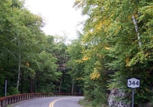 Tentrr State Park Site - NY Taconic State Park: High Valley Rd Site F