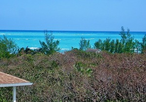 'TurtleDreams' - Overlooking Coco Bay!