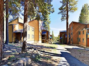 Grove | Truckee