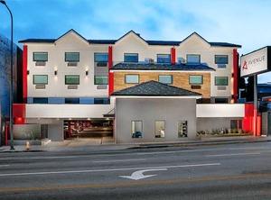 Avenue Hotel | Wilshire