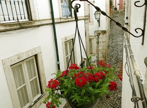 Alfama | Santa Maria Maior