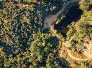 Sequoia Np | Pinehurst