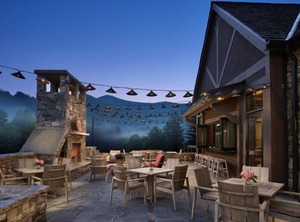 Tree Lodging Canton | Canton