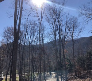 Hickory Haven Candler 