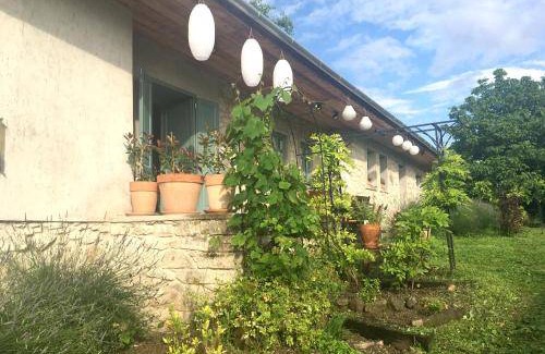 Erdobenye Bed & Breakfast | 25 m² Bed and breakfast ∙ 3 guests