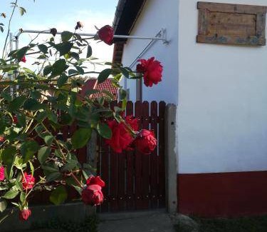 Nagykoru Bed & Breakfast | 28 m² Bed and breakfast ∙ 4 guests