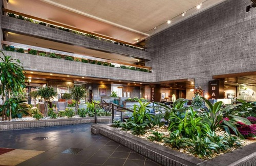 Gaffer District Hotel | 38 m² Hotel ∙ 127 guests