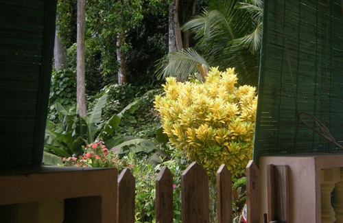 Anse Boileau House | 80 m² House ∙ 3 bedrooms ∙ 6 guests