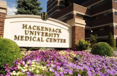 Hackensack Apartment | Apartment ∙ 1 bedroom ∙ 4 guests