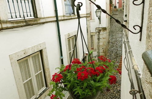 Santa Maria Maior Apartment | Bright and Beautiful Apartment in Sunny Lisbon's Historic Centre - Alfama
