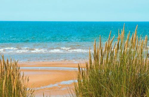 Ponce Inlet Apartment | By The Sea Turtles