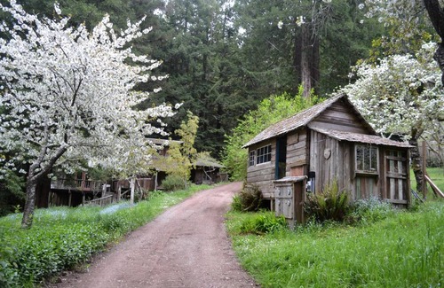 Mendocino House | House ∙ 1 bedroom ∙ 4 guests
