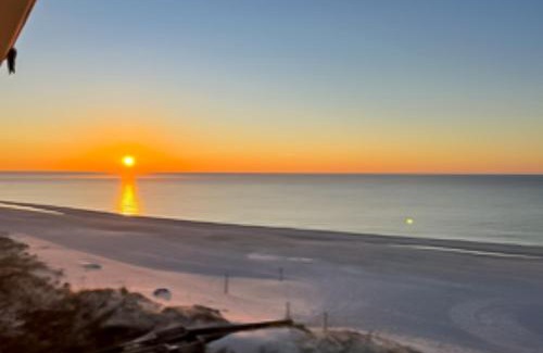 Orange Beach Apartment | Palm Beach C52