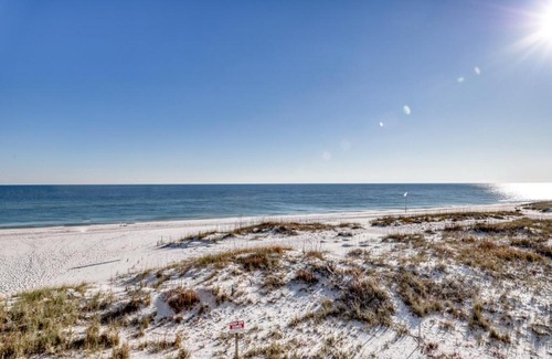 Orange Beach House | Palm Beach Condos