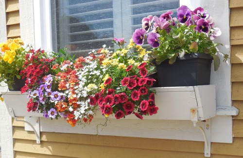 Downtown St. John's House | 2 Br 2 Bath In Heart Of Old St. John's- weekly rental promoted